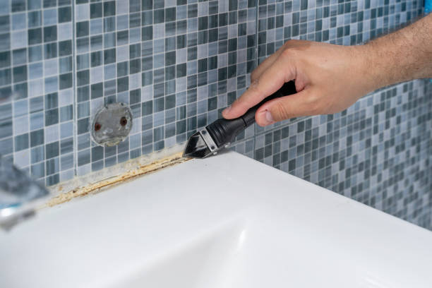 Professional Mold Remediation in Clifton Springs, NY